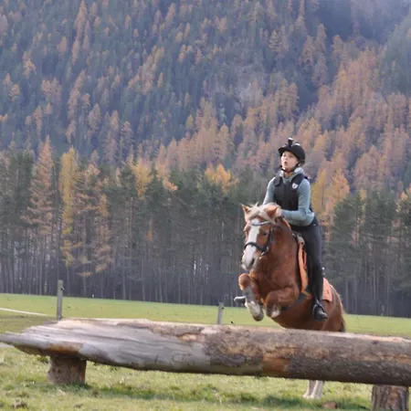 Am Sonnhof * لانغنفلد