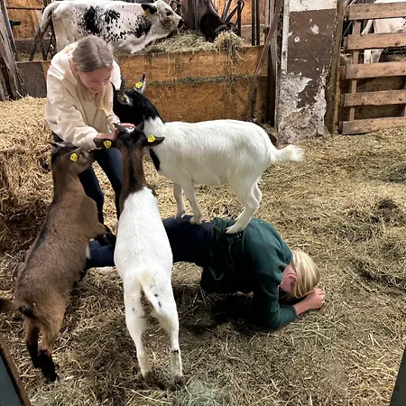 Am Sonnhof Lejlighed