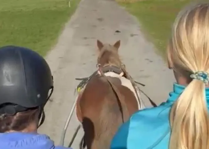 Am Sonnhof Langenfeld