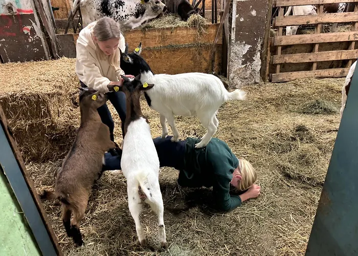 Am Sonnhof Apartment